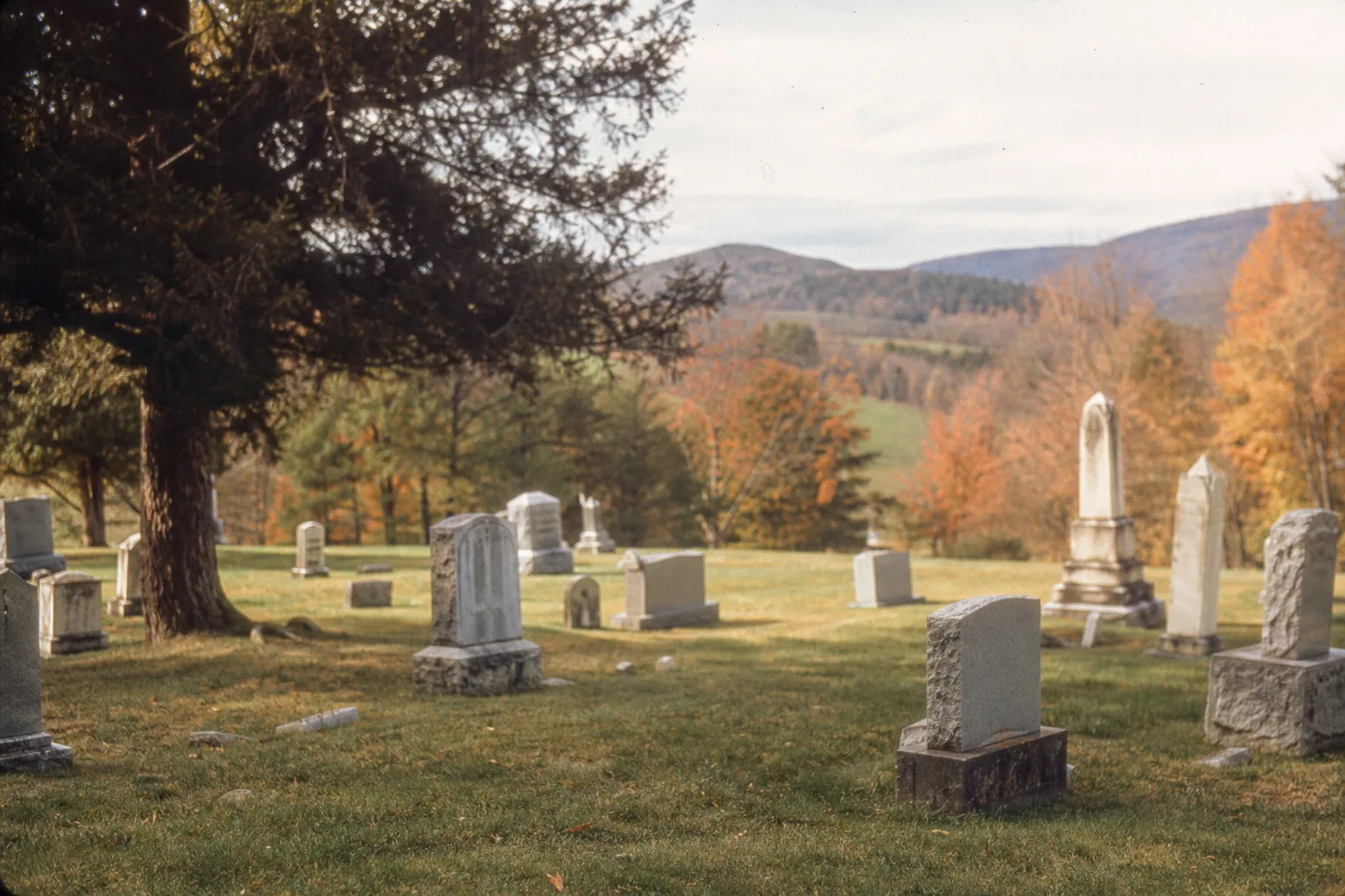 Pricing a stone in a small Vermont cemetery, and which line items you can actually move